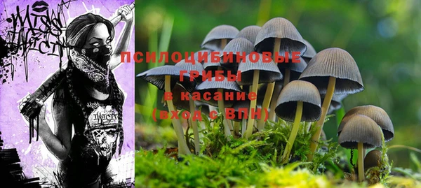 Альфа ПВП Волосово