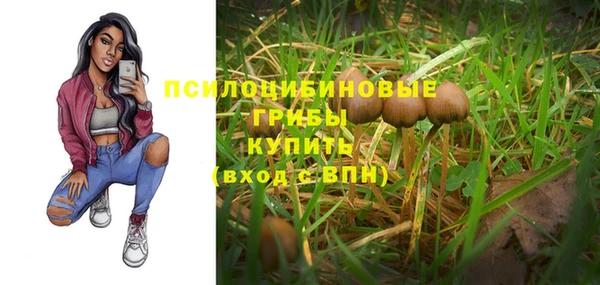 mdpv Володарск